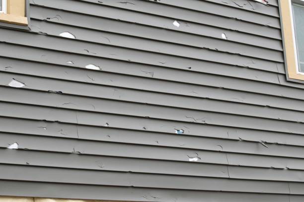 Best Siding Painting and Refinishing  in Jupiter Farms, FL